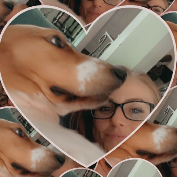 Meet your Posher, Salie - Picture 3 of 4